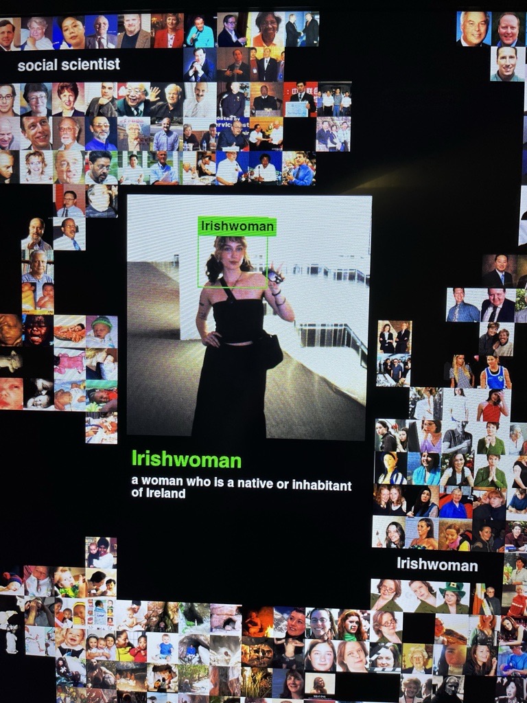 An image of Sarah, our Programmes Coordinator, in an art gallery in Berlin. She is displayed on a digital black screen amongst small pictures of other random people. The caption reads 'Irishwoman - a woman who is a native or inhabitant of Ireland'.
